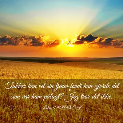 Picture 03 - Lukas 17:9 NORSK - Takker han vel sin tjener fordi han gjorde det - Bible Verse Picture