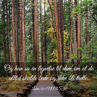 Picture 03 - Lukas 18:1 NORSK - Og han sa en lignelse til dem om at de alltid - Bible Verse Picture