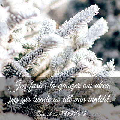 Picture 03 - Lukas 18:12 NORSK - Jeg faster to ganger om uken, jeg gir tiende av - Bible Verse Picture