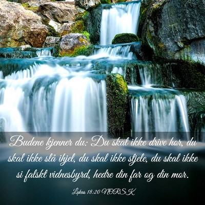 Picture 03 - Lukas 18:20 NORSK - Budene kjenner du: Du skal ikke drive hor, du - Bible Verse Picture