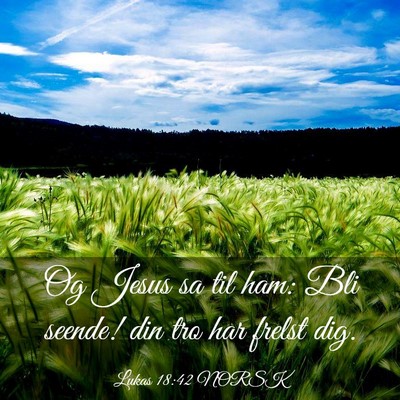 Picture 03 - Lukas 18:42 NORSK - Og Jesus sa til ham: Bli seende! din tro har - Bible Verse Picture