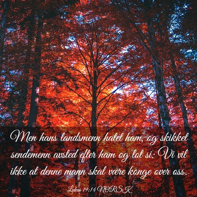 Picture 03 - Lukas 19:14 NORSK - Men hans landsmenn hatet ham, og skikket - Bible Verse Picture