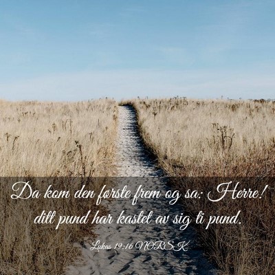 Picture 03 - Lukas 19:16 NORSK - Da kom den første frem og sa: Herre! ditt pund - Bible Verse Picture