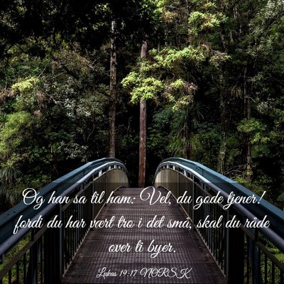 Picture 03 - Lukas 19:17 NORSK - Og han sa til ham: Vel, du gode tjener! fordi du - Bible Verse Picture