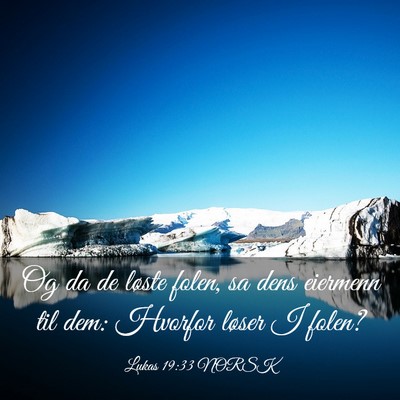 Picture 03 - Lukas 19:33 NORSK - Og da de løste folen, sa dens eiermenn til dem: - Bible Verse Picture
