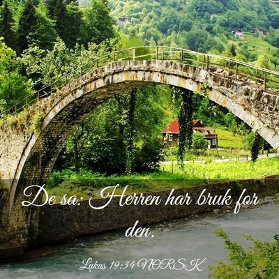 Picture 03 - Lukas 19:34 NORSK - De sa: Herren har bruk for - Bible Verse Picture