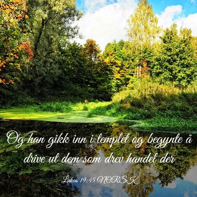 Picture 03 - Lukas 19:45 NORSK - Og han gikk inn i templet og begynte å drive ut - Bible Verse Picture