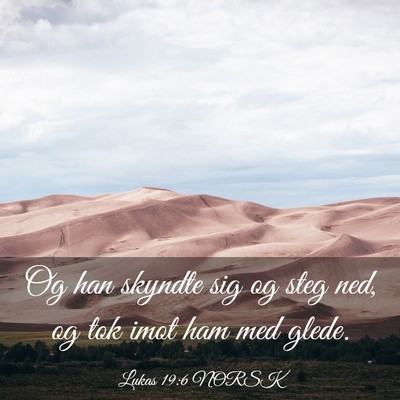 Picture 03 - Lukas 19:6 NORSK - Og han skyndte sig og steg ned, og tok imot ham - Bible Verse Picture