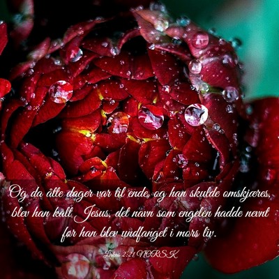 Picture 03 - Lukas 2:21 NORSK - Og da åtte dager var til ende, og han skulde - Bible Verse Picture