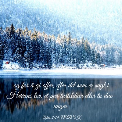 Picture 03 - Lukas 2:24 NORSK - og for å gi offer, efter det som er sagt i - Bible Verse Picture