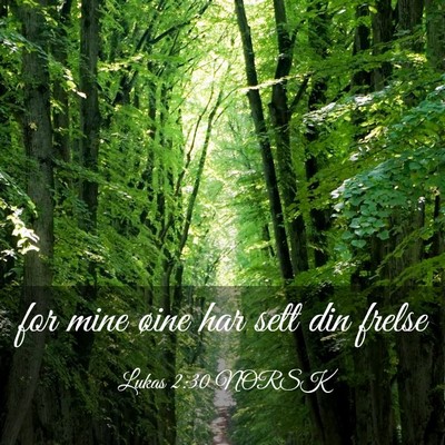 Picture 03 - Lukas 2:30 NORSK - for mine øine har sett din - Bible Verse Picture