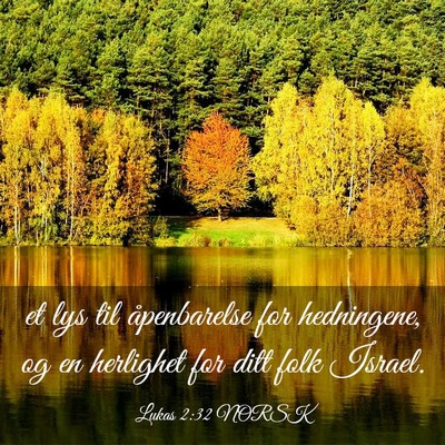 Picture 03 - Lukas 2:32 NORSK - et lys til åpenbarelse for hedningene, og en - Bible Verse Picture
