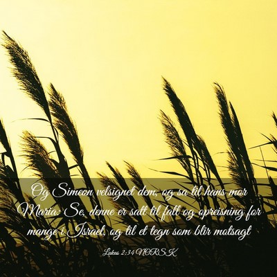 Picture 03 - Lukas 2:34 NORSK - Og Simeon velsignet dem, og sa til hans mor - Bible Verse Picture