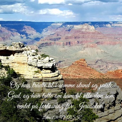 Picture 03 - Lukas 2:38 NORSK - Og hun trådte til i samme stund og priste Gud, - Bible Verse Picture
