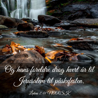 Picture 03 - Lukas 2:41 NORSK - Og hans foreldre drog hvert år til Jerusalem til - Bible Verse Picture