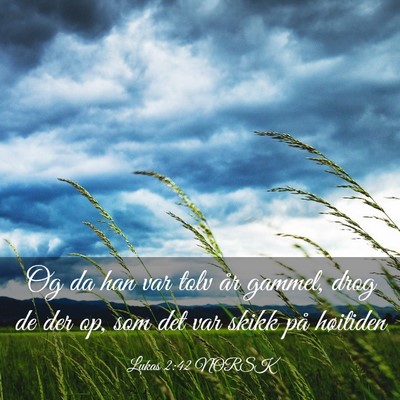 Picture 03 - Lukas 2:42 NORSK - Og da han var tolv år gammel, drog de der op, - Bible Verse Picture