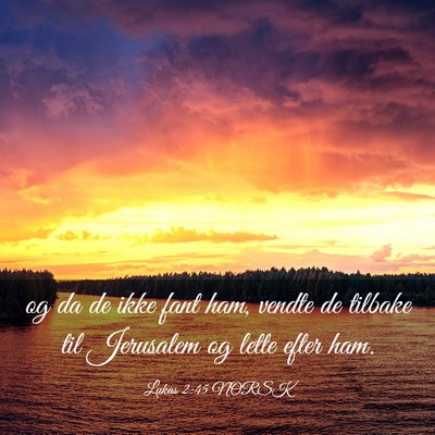 Picture 03 - Lukas 2:45 NORSK - og da de ikke fant ham, vendte de tilbake til - Bible Verse Picture