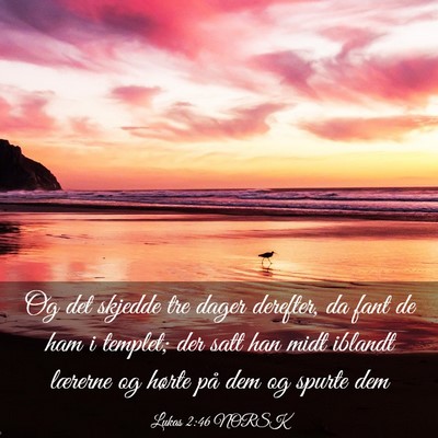Picture 03 - Lukas 2:46 NORSK - Og det skjedde tre dager derefter, da fant de ham - Bible Verse Picture