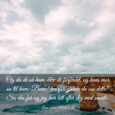 Picture 03 - Lukas 2:48 NORSK - Og da de så ham, blev de forferdet, og hans mor - Bible Verse Picture