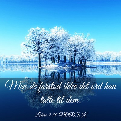 Picture 03 - Lukas 2:50 NORSK - Men de forstod ikke det ord han talte til - Bible Verse Picture