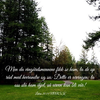Picture 03 - Lukas 20:14 NORSK - Men da vingårdsmennene fikk se ham, la de op - Bible Verse Picture