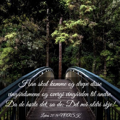 Picture 03 - Lukas 20:16 NORSK - Han skal komme og drepe disse vingårdsmenn og - Bible Verse Picture