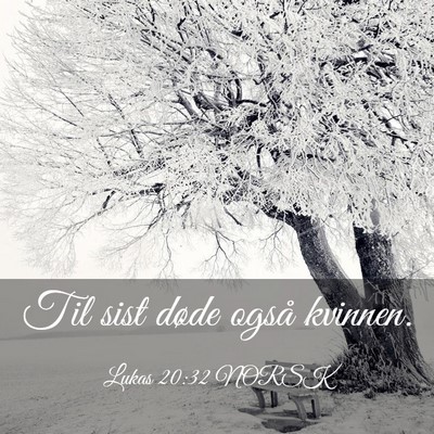 Picture 03 - Lukas 20:32 NORSK - Til sist døde også - Bible Verse Picture