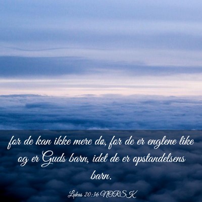 Picture 03 - Lukas 20:36 NORSK - for de kan ikke mere dø, for de er englene like - Bible Verse Picture