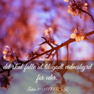 Picture 03 - Lukas 21:13 NORSK - det skal falle ut til godt vidnesbyrd for - Bible Verse Picture