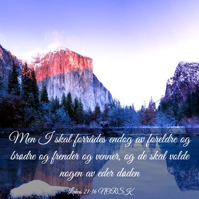 Picture 03 - Lukas 21:16 NORSK - Men I skal forrådes endog av foreldre og brødre - Bible Verse Picture