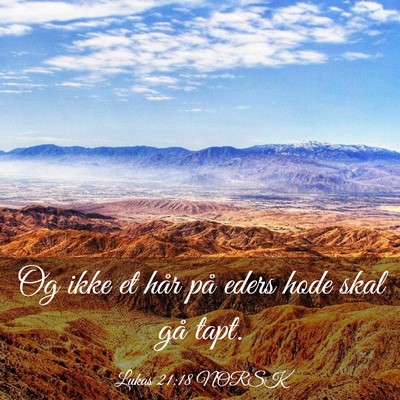 Picture 03 - Lukas 21:18 NORSK - Og ikke et hår på eders hode skal gå - Bible Verse Picture