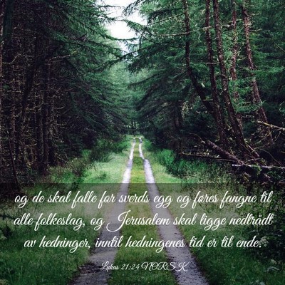 Picture 03 - Lukas 21:24 NORSK - og de skal falle for sverds egg og føres fangne - Bible Verse Picture