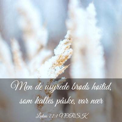 Picture 03 - Lukas 22:1 NORSK - Men de usyrede brøds høitid, som kalles påske, - Bible Verse Picture