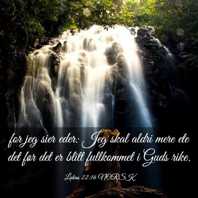 Picture 03 - Lukas 22:16 NORSK - for jeg sier eder: Jeg skal aldri mere ete det - Bible Verse Picture