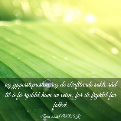 Picture 03 - Lukas 22:2 NORSK - og yppersteprestene og de skriftlærde søkte - Bible Verse Picture