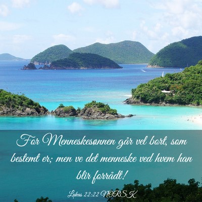 Picture 03 - Lukas 22:22 NORSK - For Menneskesønnen går vel bort, som bestemt - Bible Verse Picture