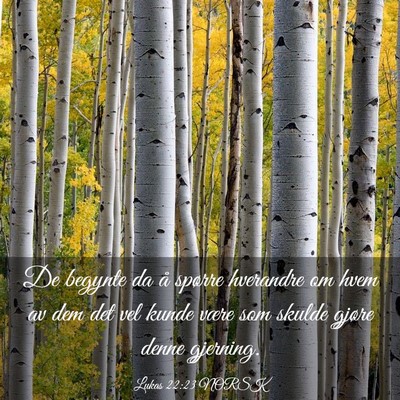 Picture 03 - Lukas 22:23 NORSK - De begynte da å spørre hverandre om hvem av dem - Bible Verse Picture