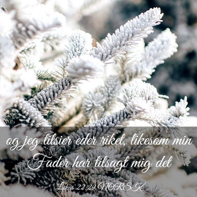 Picture 03 - Lukas 22:29 NORSK - og jeg tilsier eder riket, likesom min Fader har - Bible Verse Picture
