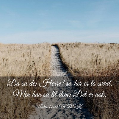 Picture 03 - Lukas 22:38 NORSK - Da sa de: Herre! se, her er to sverd. Men han sa - Bible Verse Picture