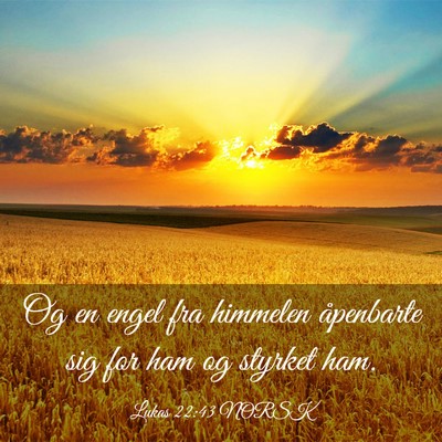 Picture 03 - Lukas 22:43 NORSK - Og en engel fra himmelen åpenbarte sig for ham - Bible Verse Picture