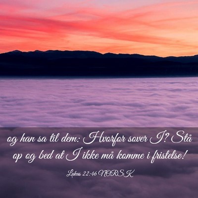 Picture 03 - Lukas 22:46 NORSK - og han sa til dem: Hvorfor sover I? Stå op og - Bible Verse Picture