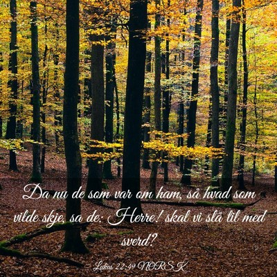 Picture 03 - Lukas 22:49 NORSK - Da nu de som var om ham, så hvad som vilde skje, - Bible Verse Picture