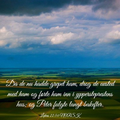 Picture 03 - Lukas 22:54 NORSK - Da de nu hadde grepet ham, drog de avsted med ham - Bible Verse Picture
