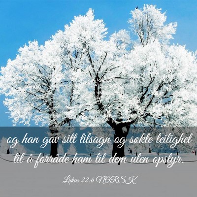 Picture 03 - Lukas 22:6 NORSK - og han gav sitt tilsagn og søkte leilighet til - Bible Verse Picture