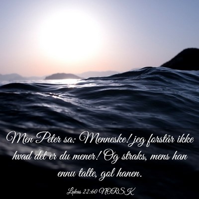 Picture 03 - Lukas 22:60 NORSK - Men Peter sa: Menneske! jeg forstår ikke hvad - Bible Verse Picture