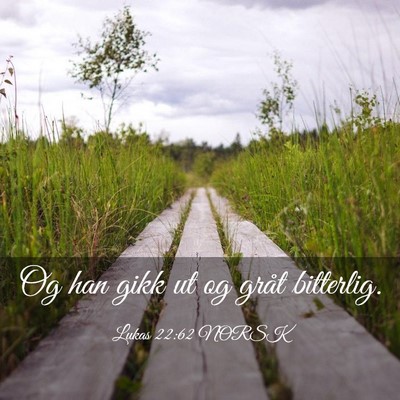 Picture 03 - Lukas 22:62 NORSK - Og han gikk ut og gråt - Bible Verse Picture