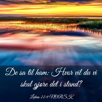 Picture 03 - Lukas 22:9 NORSK - De sa til ham: Hvor vil du vi skal gjøre det i - Bible Verse Picture
