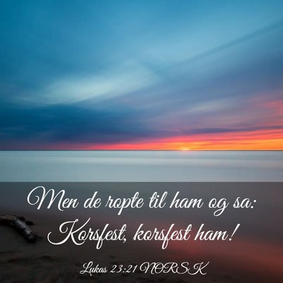 Picture 03 - Lukas 23:21 NORSK - Men de ropte til ham og sa: Korsfest, korsfest - Bible Verse Picture