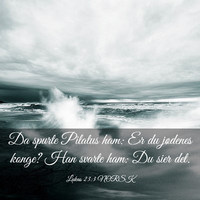 Picture 03 - Lukas 23:3 NORSK - Da spurte Pilatus ham: Er du jødenes konge? Han - Bible Verse Picture