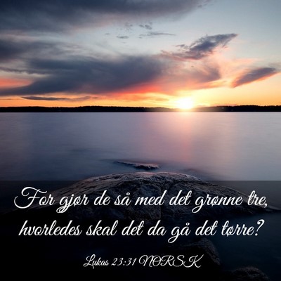 Picture 03 - Lukas 23:31 NORSK - For gjør de så med det grønne tre, hvorledes - Bible Verse Picture
